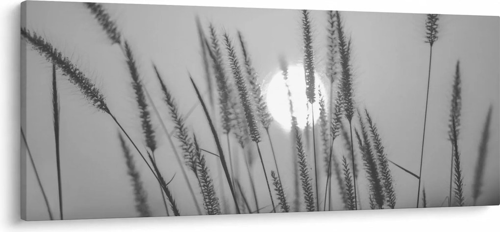 Kép - Mező naplementében (120x50 cm)