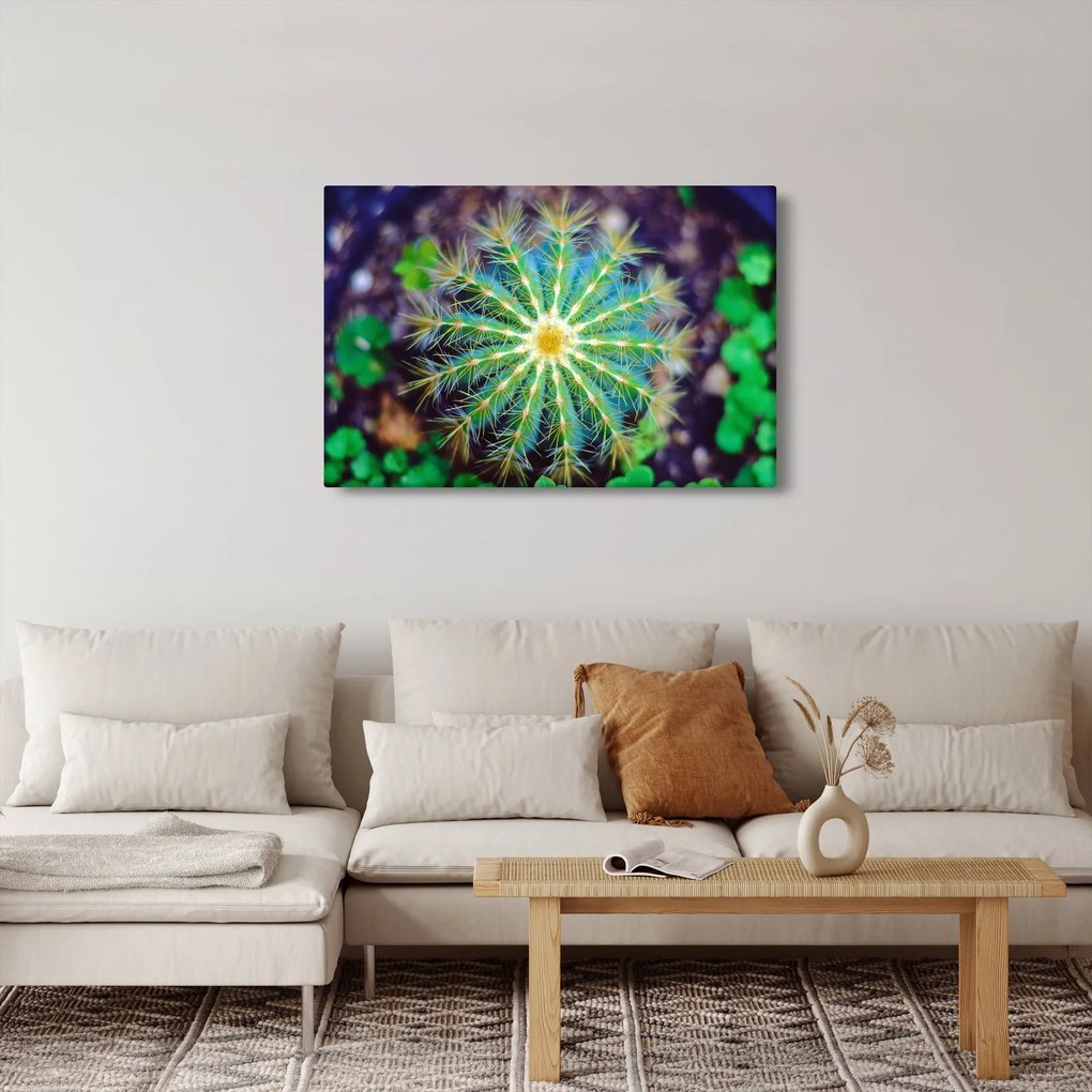 Kaktusz kép (90x60 cm)