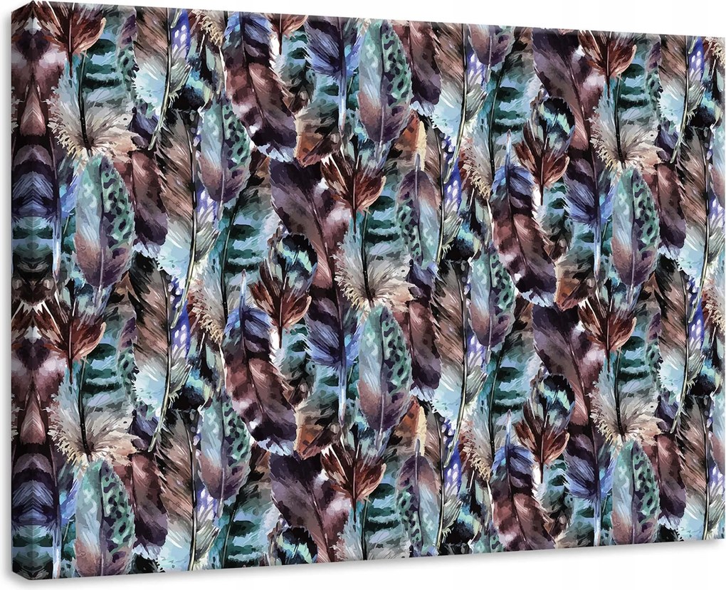 Vászonkép 70x50 Toll minta részletek természetes organikus nyugodt dekoratív