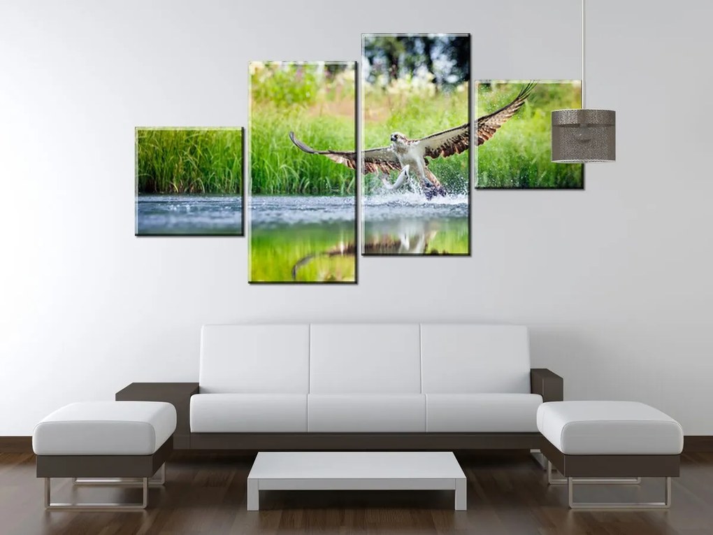 Gario Vászonkép Rétisas vadászik - 4 részes Méret: 160 x 90 cm