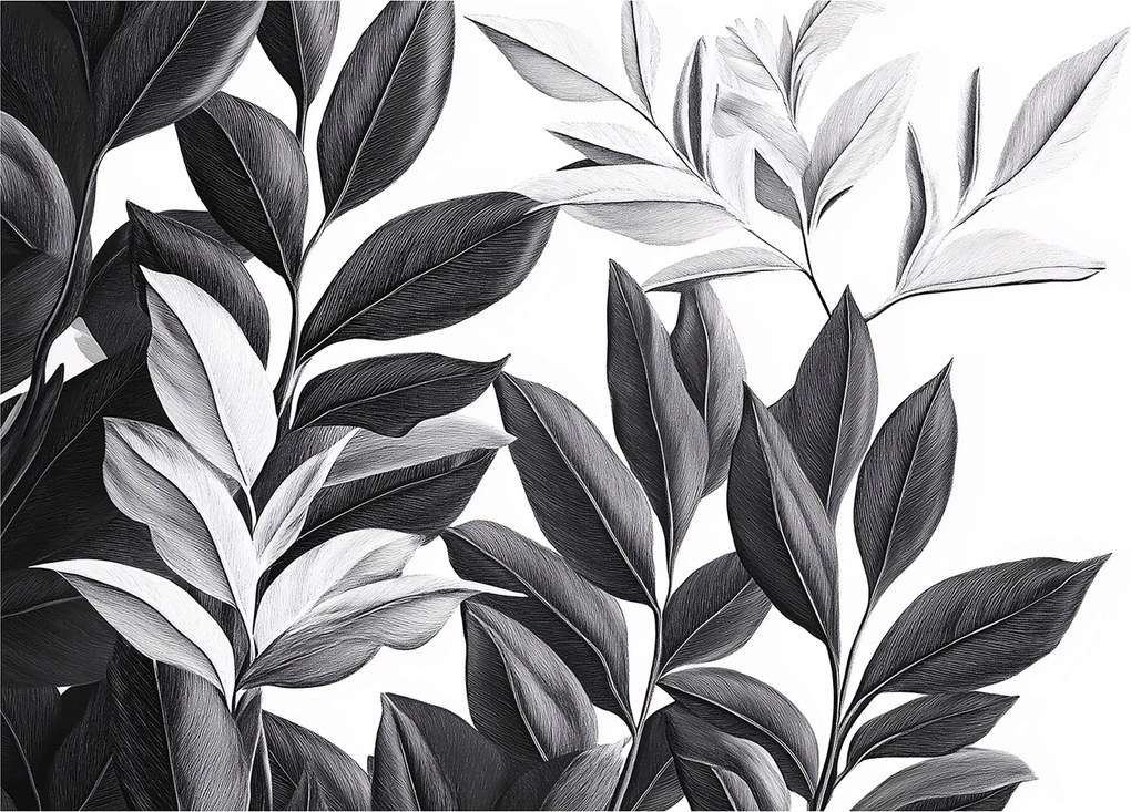 Fotótapéta virágok fekete fehér liliomok elegáns kontraszt +ragasztó ingyen