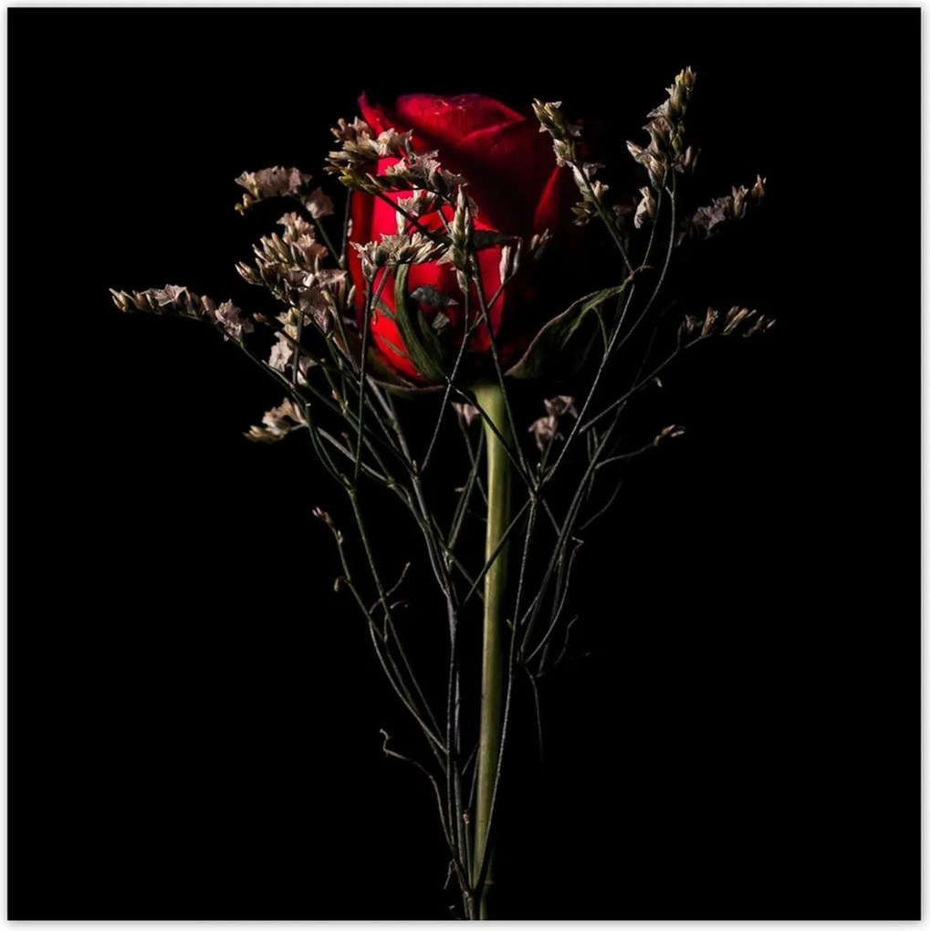 Poszterek 100x100 Rózsa Virág Virágok Rózsa