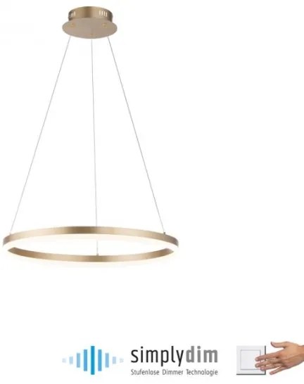 Paul Neuhaus 2382-60 - LED Dimmelhető csillár zsinóron TITUS LED/38,5W/230V