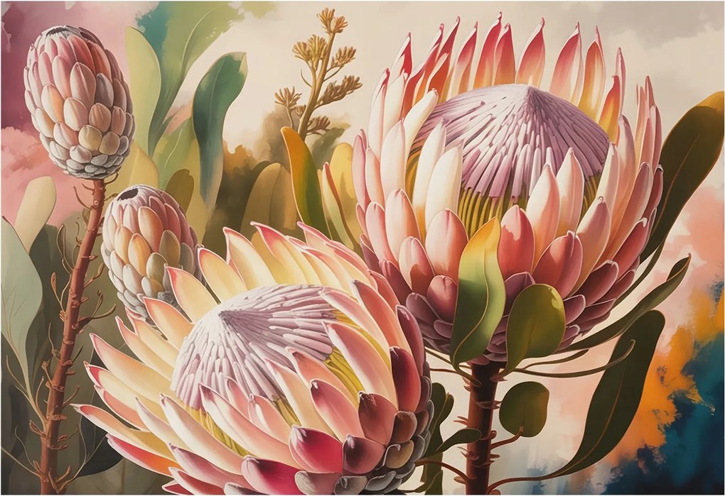 Flizelin tapéta falra Premium Protea virágok 152x104 Ragasztó