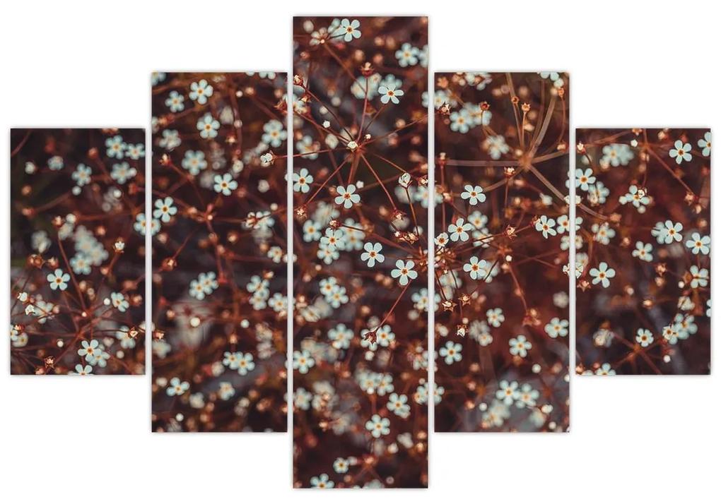 Erdei nefelejcs virág képe (150x105 cm)