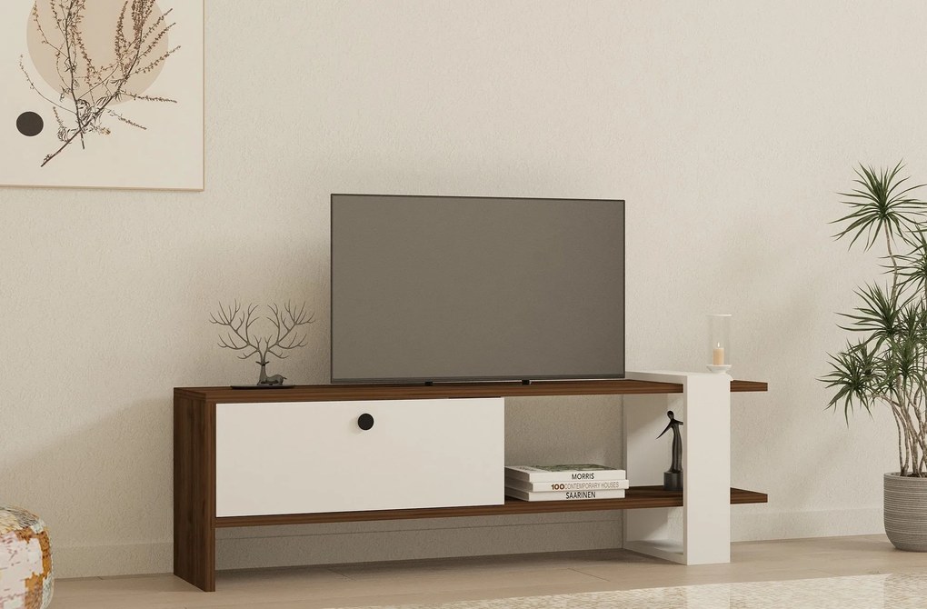 TV szekrény Gaye - Walnut, White