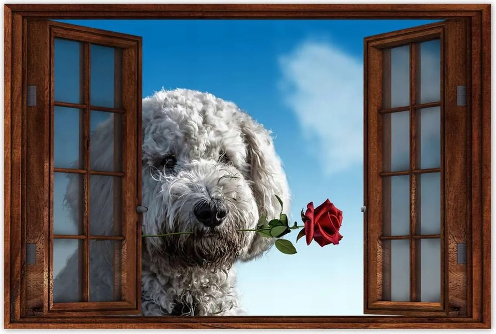 Poszterek 60x40 Szerelmes korcs szerelem