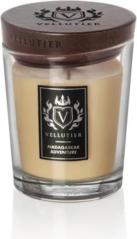 Vellutier Közepes gyertya Madagaszkár Adventure