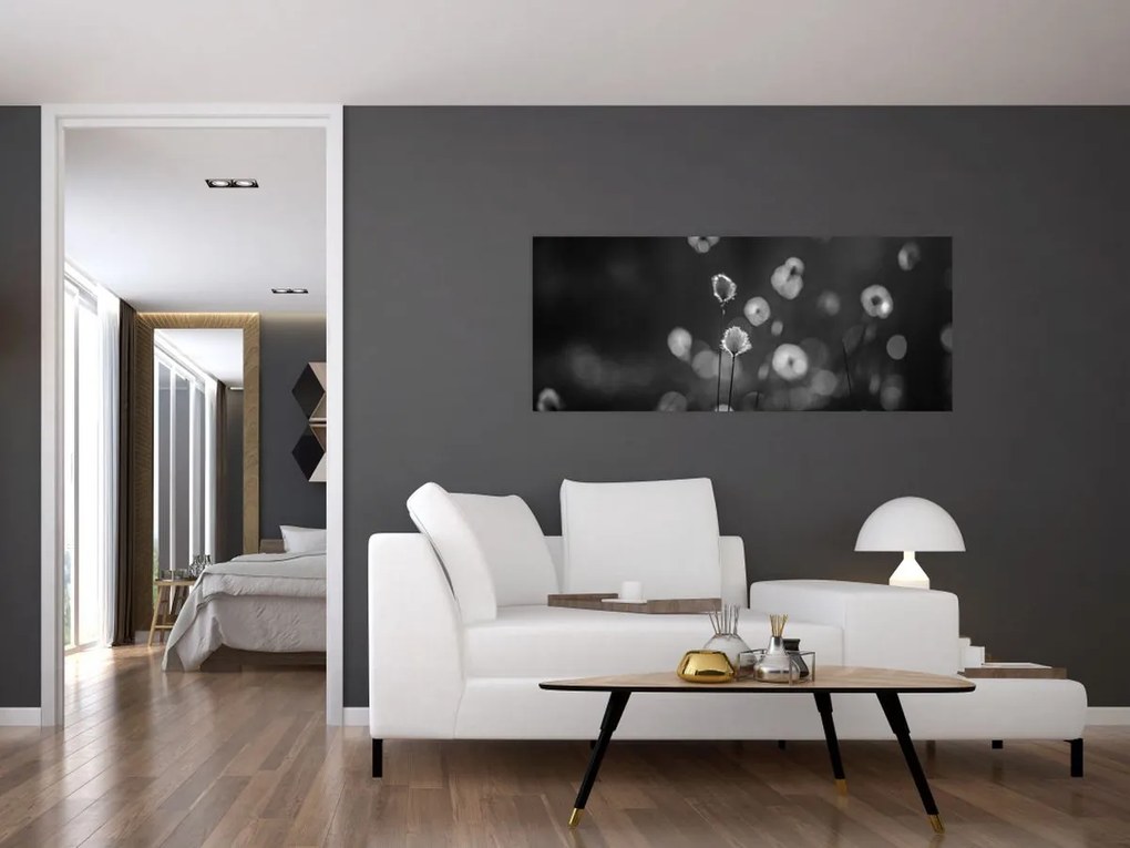 Kép - Pamutfű a réten (120x50 cm)