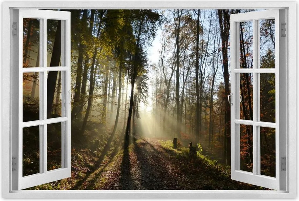 Poszterek 60x40 Napfelkelte az erdőben