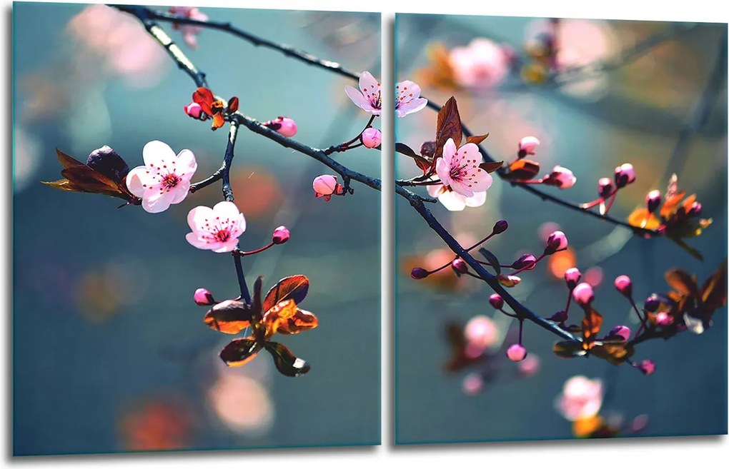 7in1 2x Üveg Tűzhelyvédő Főzőlap 40x52 Virágok