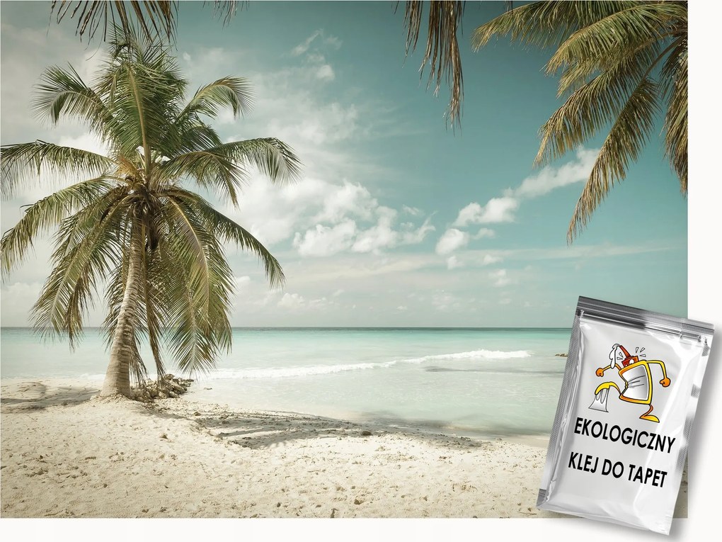 Fotótapéta Flizelina Tengerpart Pálmafák Tenger Paradicsom Tropical Beach 100x75 ragasztó