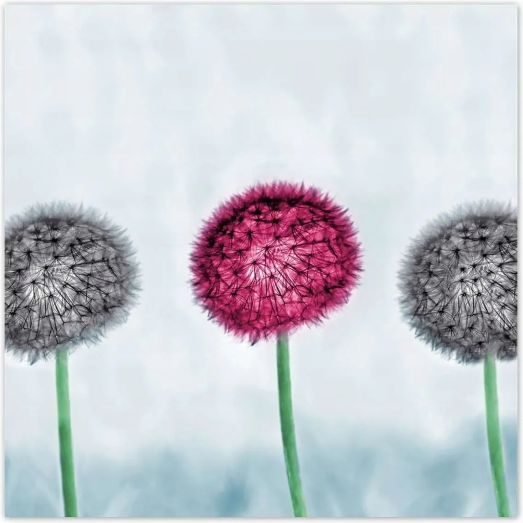 Poszterek 140x140 Szürke-lila