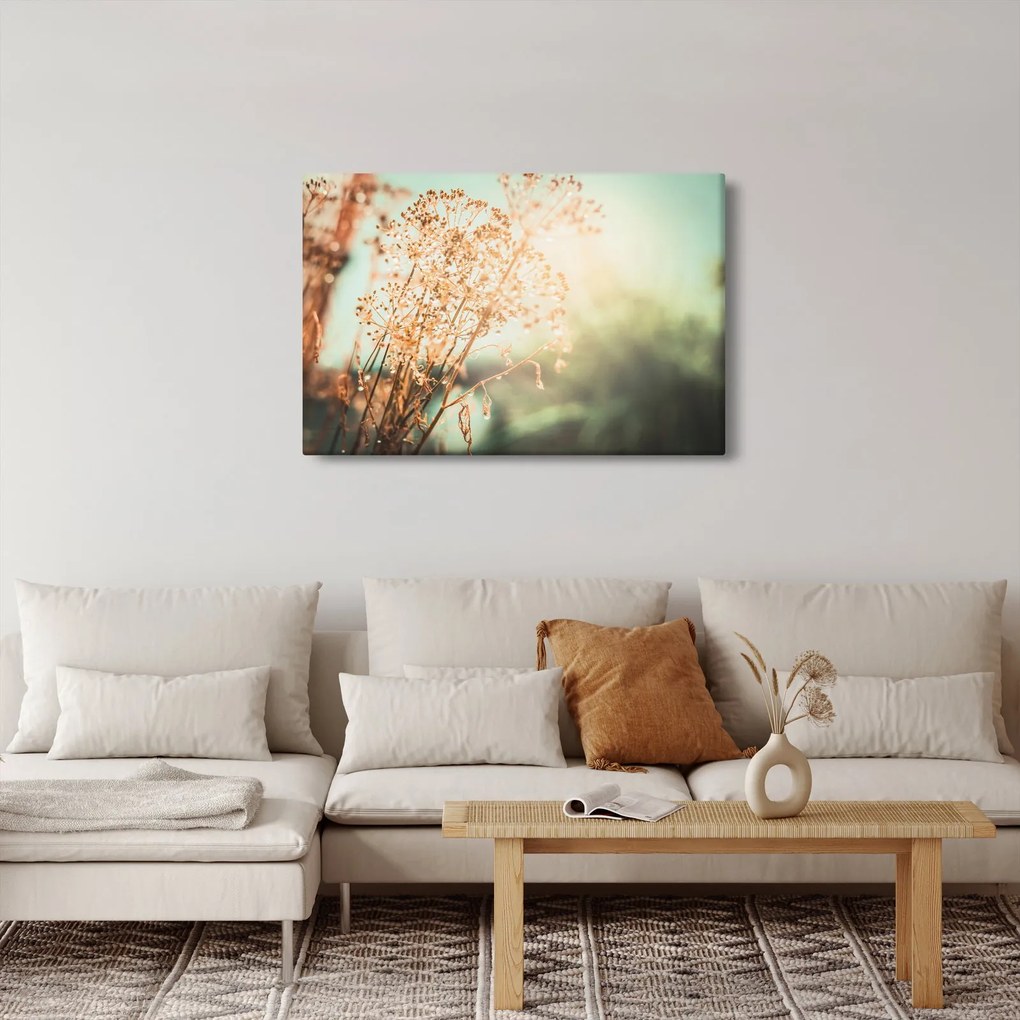 Kép - Növények eső után (90x60 cm)