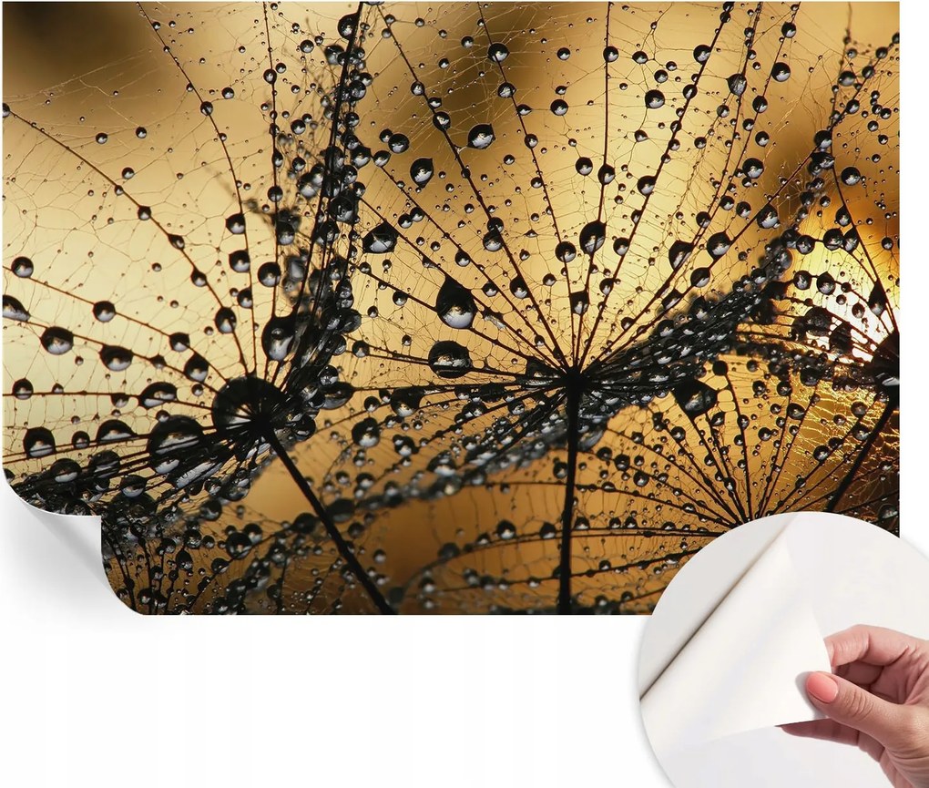 Öntapadós fotótapéta Divatos Finom cseppek 152x104 cm