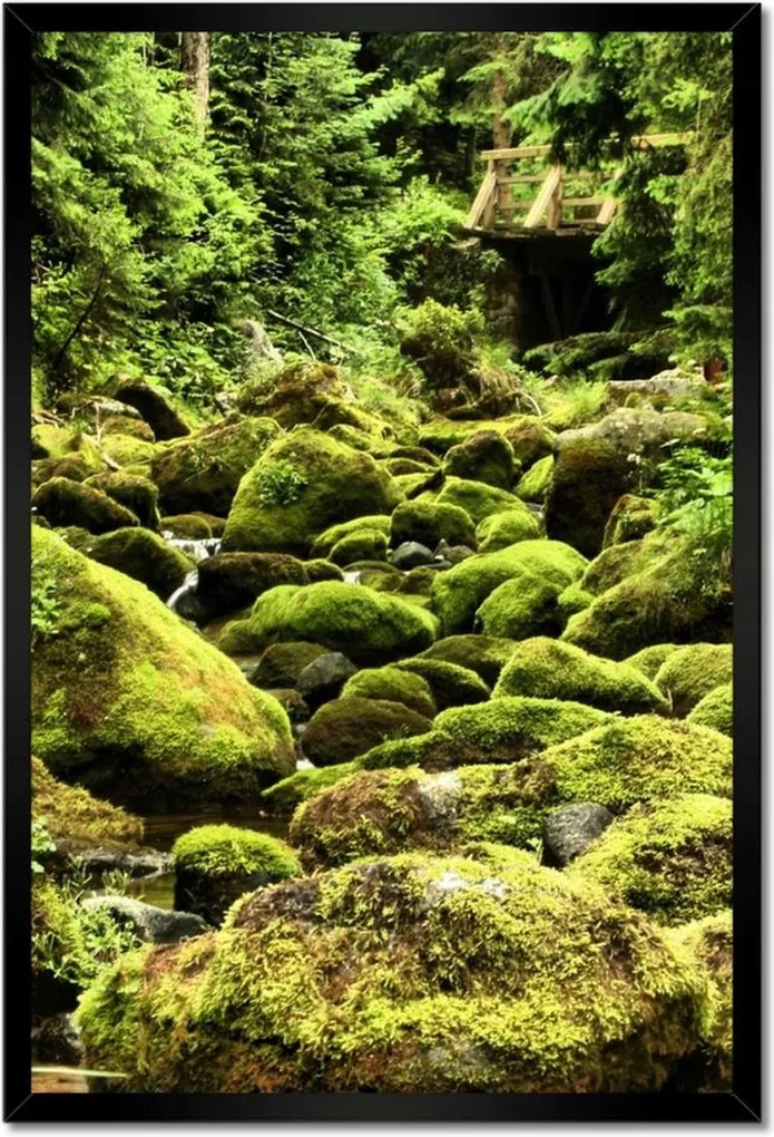 Poszterek keretben 40x60 Tátra Lengyel hegyek Kilátás