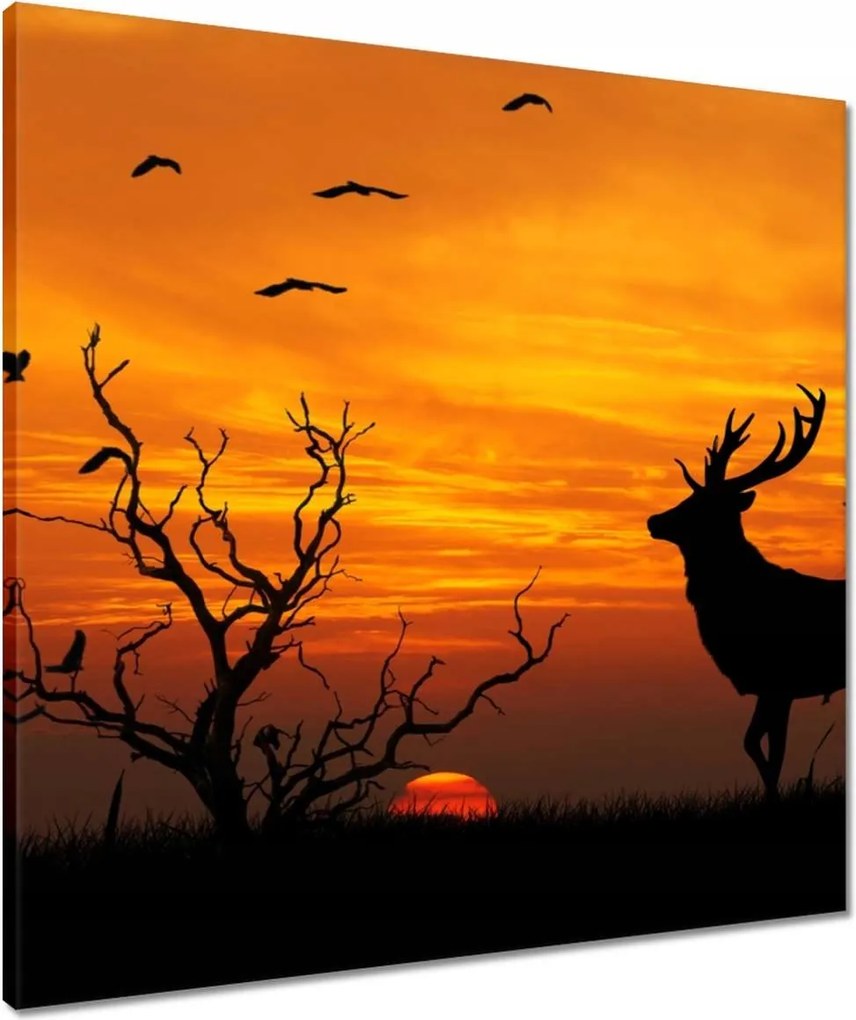 Vászonkép 60x60 Szarvas és naplemente