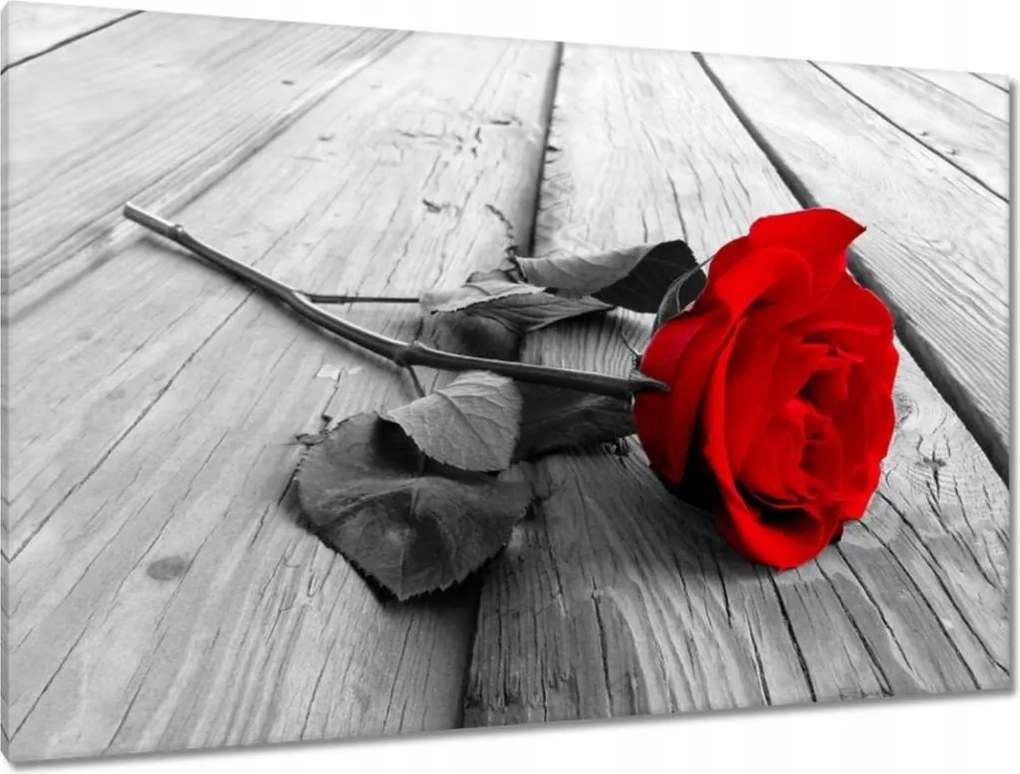 Vászonkép 120x80 Vörös rózsa a hídon