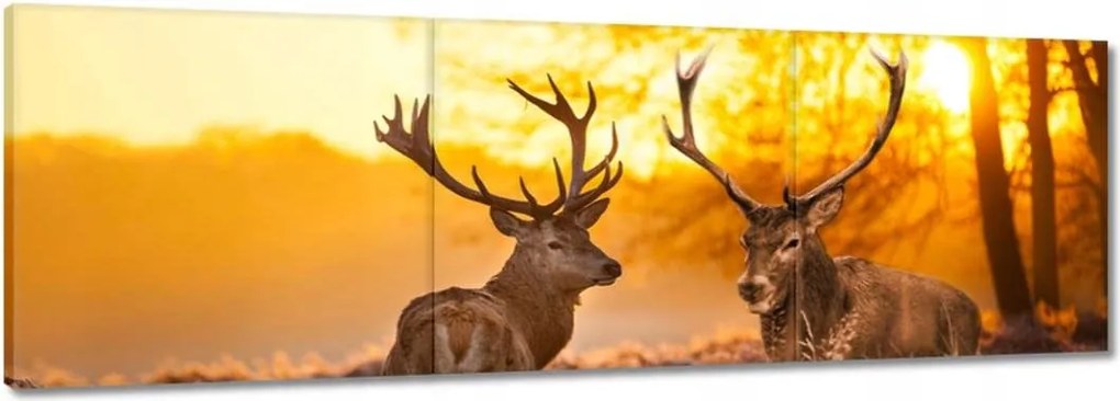 Vászonkép 150x50 Szarvasok a reggelben