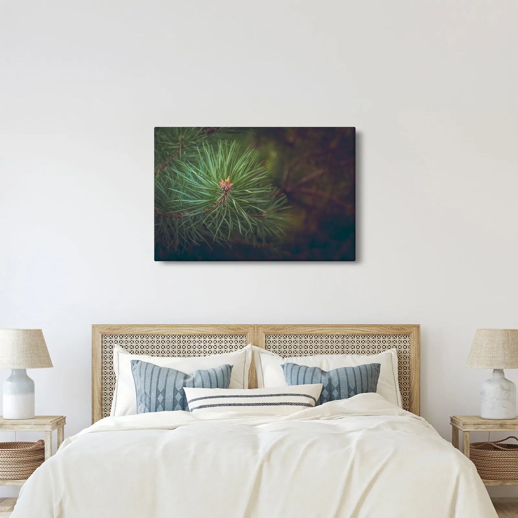 Kép - Fenyőfa részlete (90x60 cm)
