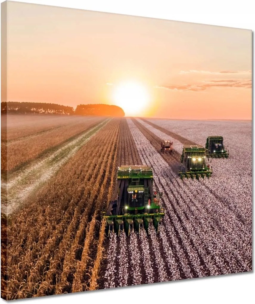 Vászonkép 40x40 Aratás Mezőgazdaság Kombájn