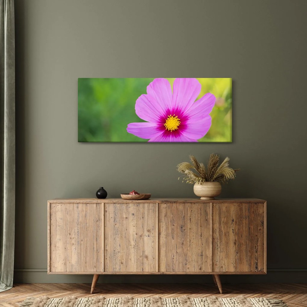 Kép - réti virág (120x50 cm)