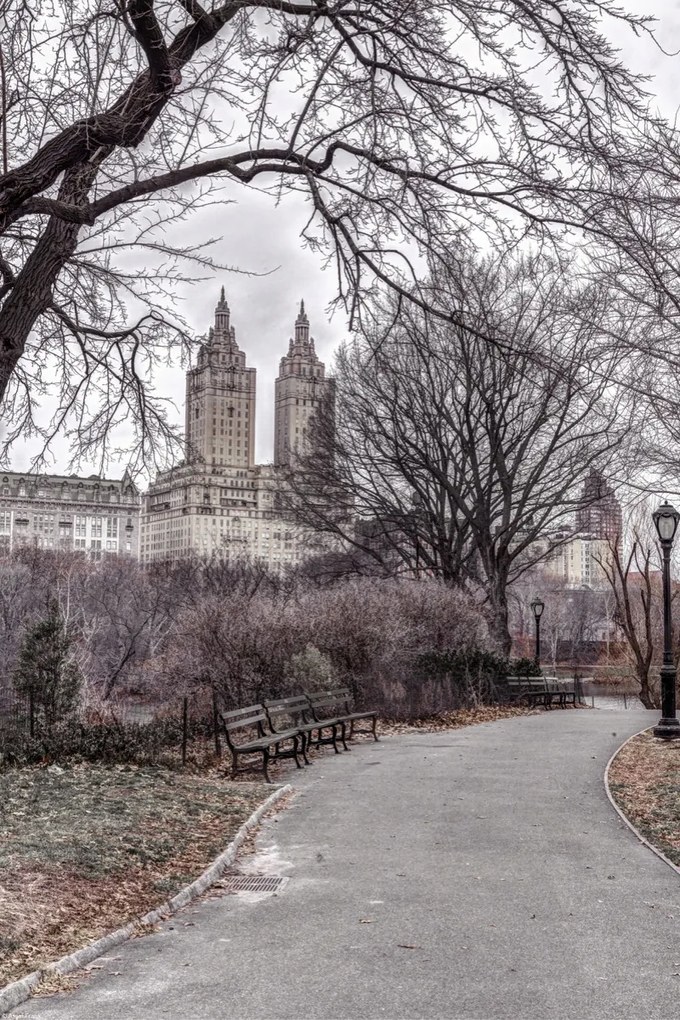 Poszter 30x45cm Ösvény a központi parkon át 2, Assaf Frank