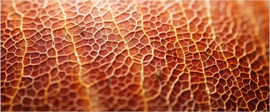 Kép - Textúra részlet (120x50 cm)