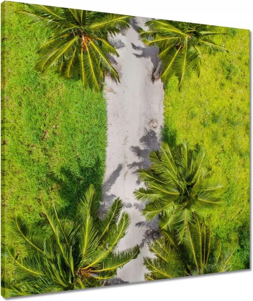 Vászonkép 60x60 Tájkép Látvány