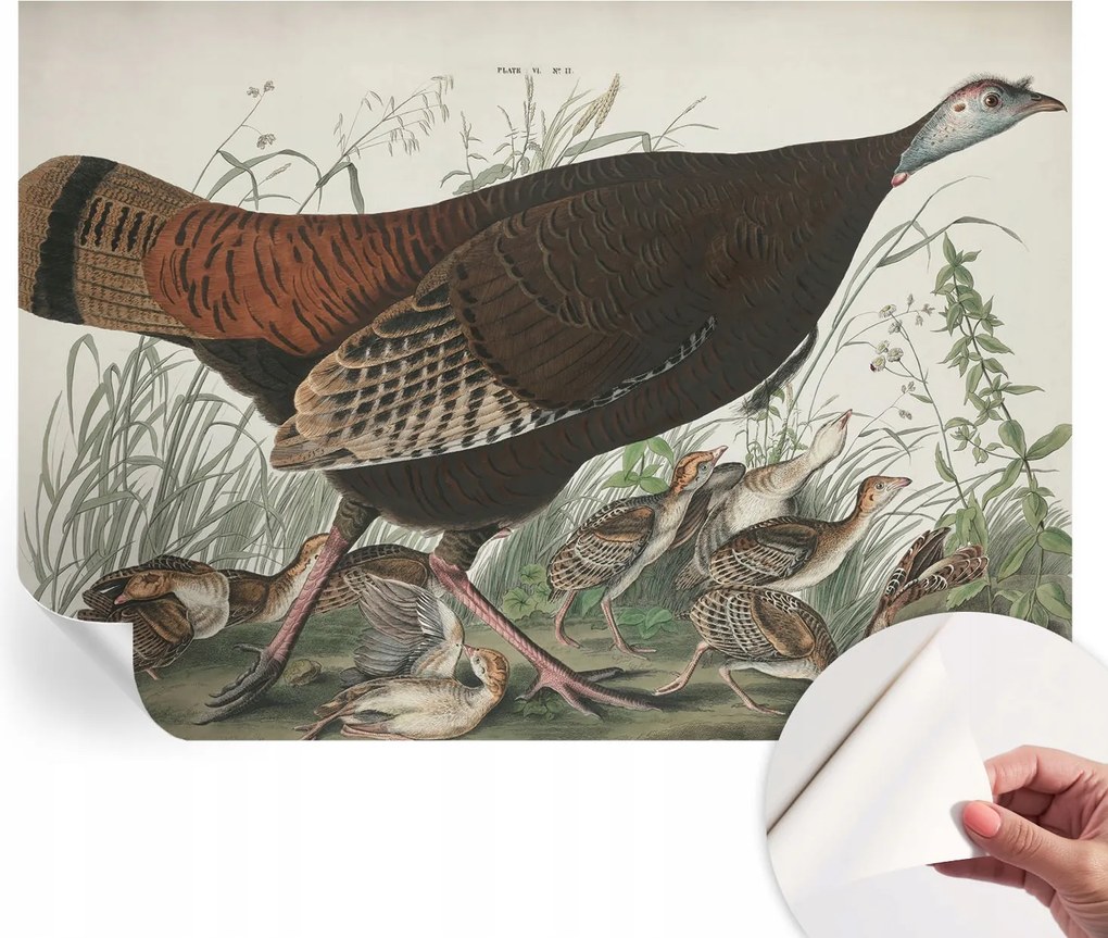 Design fali fotótapéta öntapadós természetes harmónia 312x219