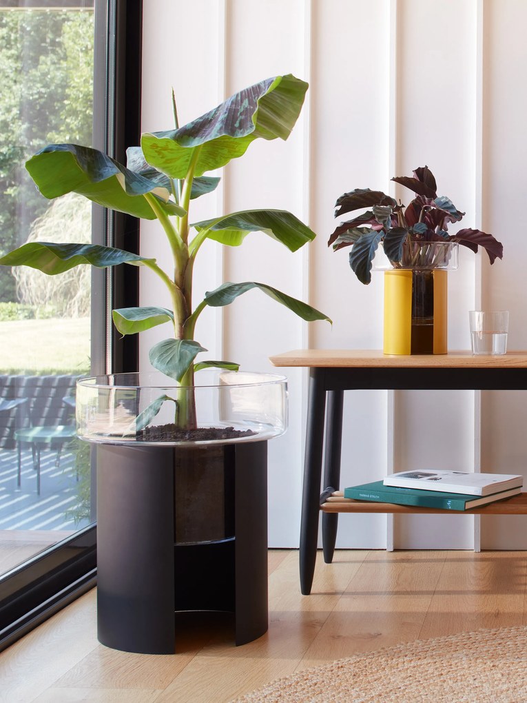 LSA International Terrazza virágcserép, h 22 cm, Ø19 cm, átlátszó/mustársárga - LSA nemzetközi
