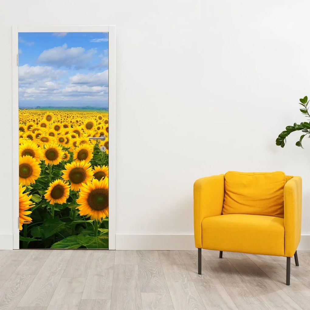 Fotótapéta ajtóra - Napraforgó mező (95x205cm)