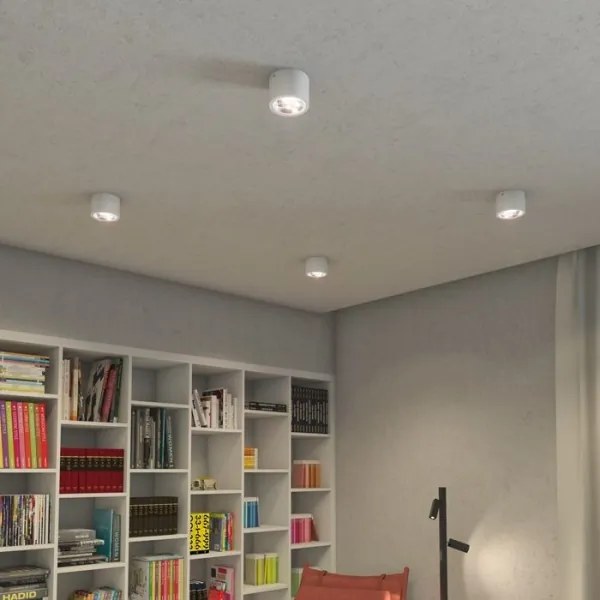 RED-Design Rendl-R12633-LED Dimmelhető spotlámpa KELLY LED/15W/230V fehér