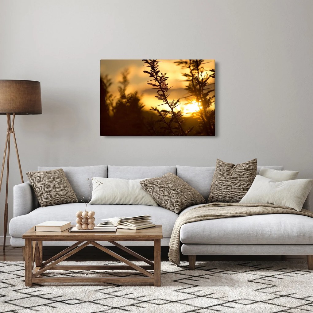 Kép - A nap lenyugszik a fák mögött (90x60 cm)