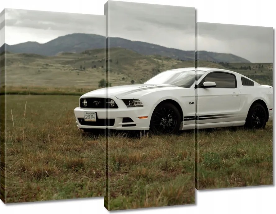 Vászonkép 90x70 Fehér Ford Mustang