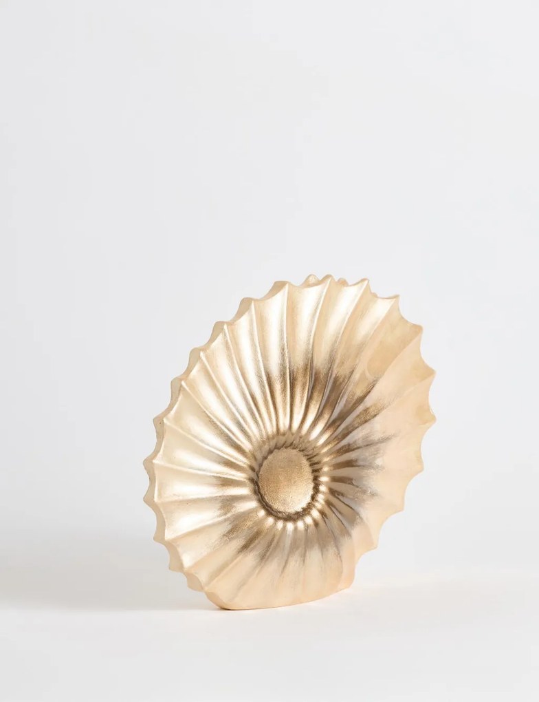 Seashell
