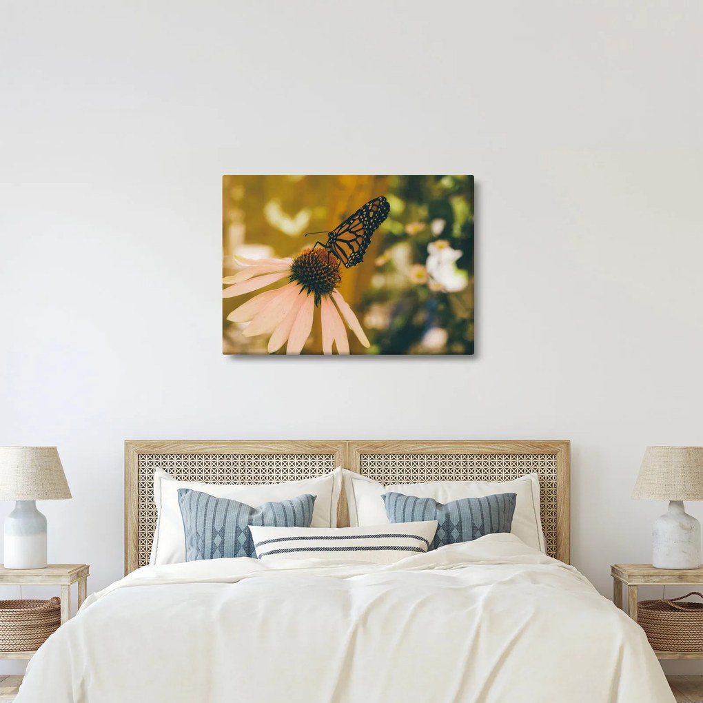 Pillangó képe a virágon (70x50 cm)