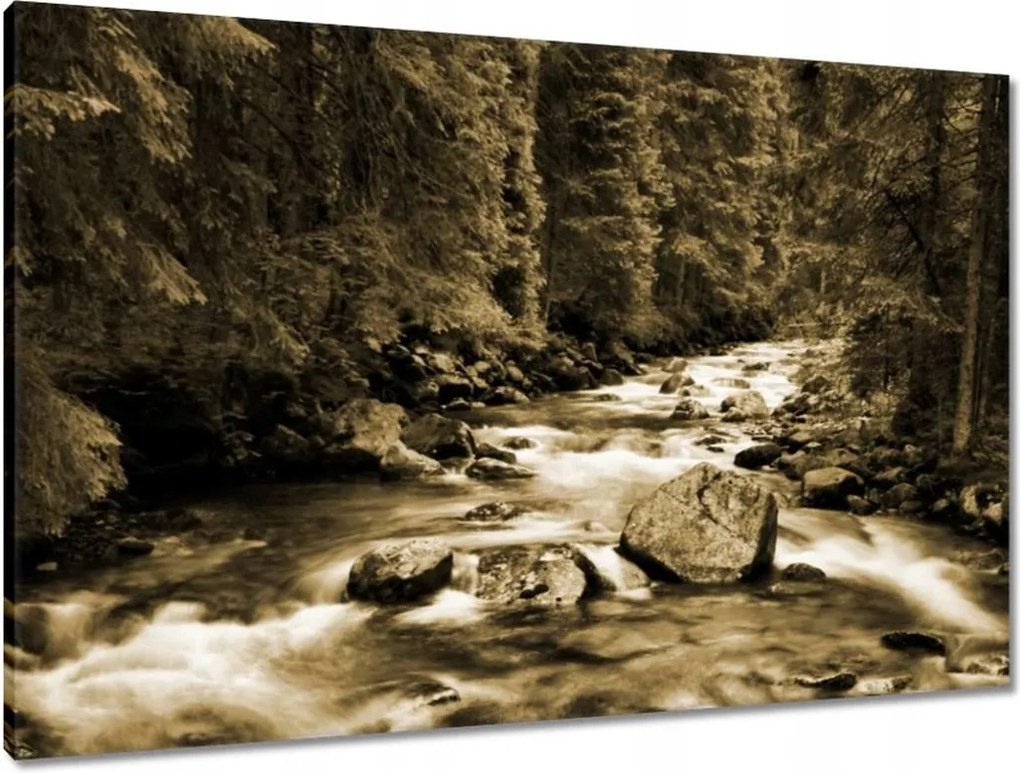 Vászonkép 90x60 Tátra Lengyel hegyek Kilátás