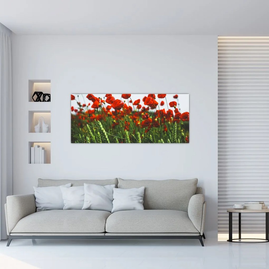 A pipacsok képe a szélben (120x50 cm)