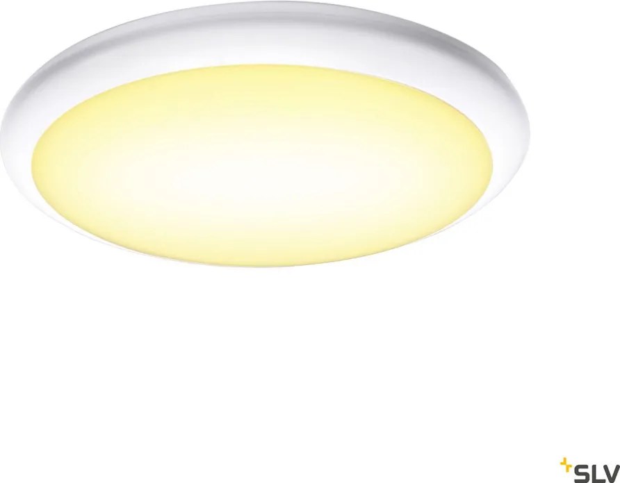 SLV 1005090 RUBA Modern Kültéri Mennyezeti Lámpa LED IP65