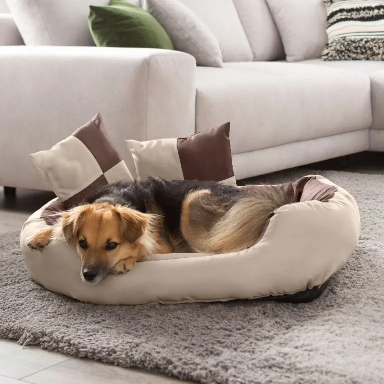 PETSTUFF® Kutyafekhely krém/barna 110 x 80 x 23 cm