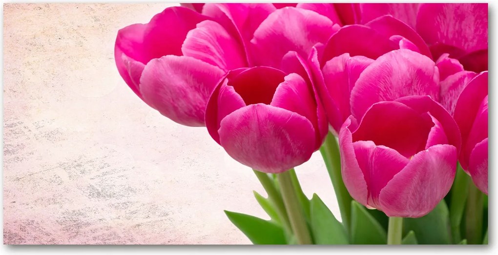 Fotótapéta üvegfalra Rózsaszín tulipánok 140x70
