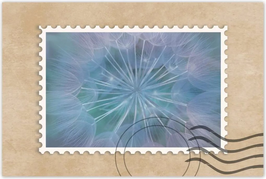 Poszterek 60x40 Pitypang Virág Virágok