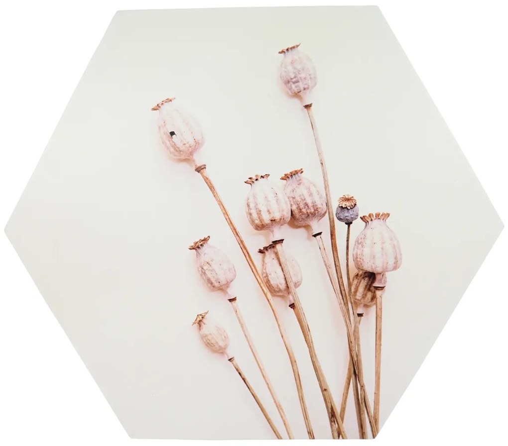 Fali dekoráció POPPY WOOD Ø 58 cm