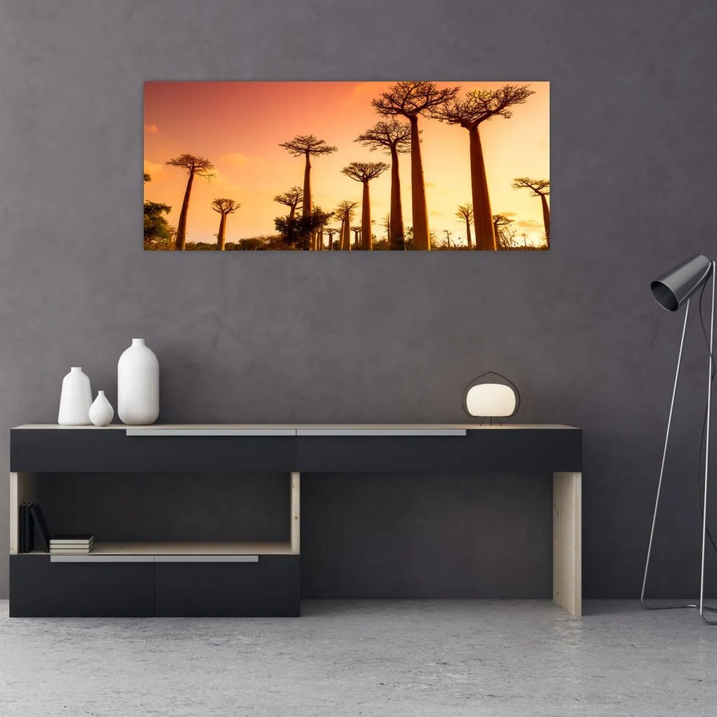 Kép - Naplemente a Baobab Alley-ben (120x50 cm)