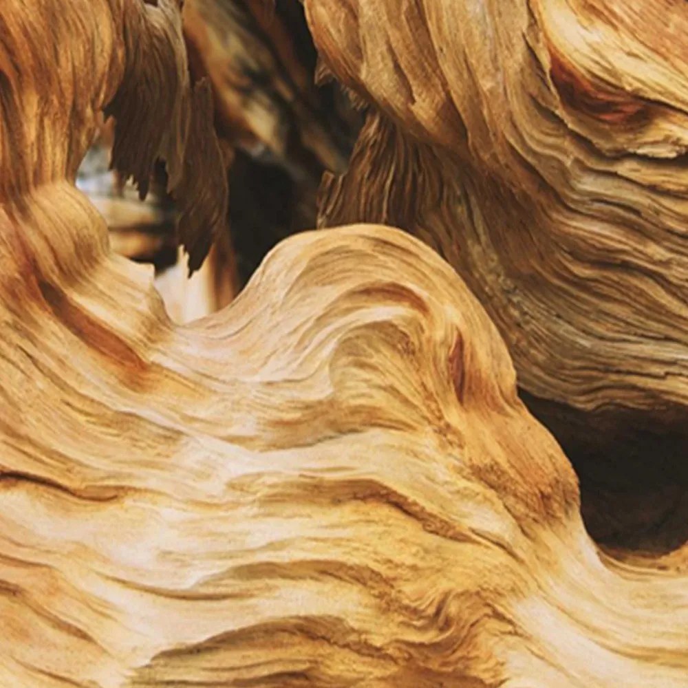 Gario Paraván Hullámos absztrakció fával Méret: 180 x 170 cm, Kivitelezés: Klasszikus paraván