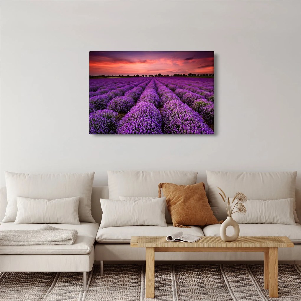 Kép - Levendula mező (90x60 cm)
