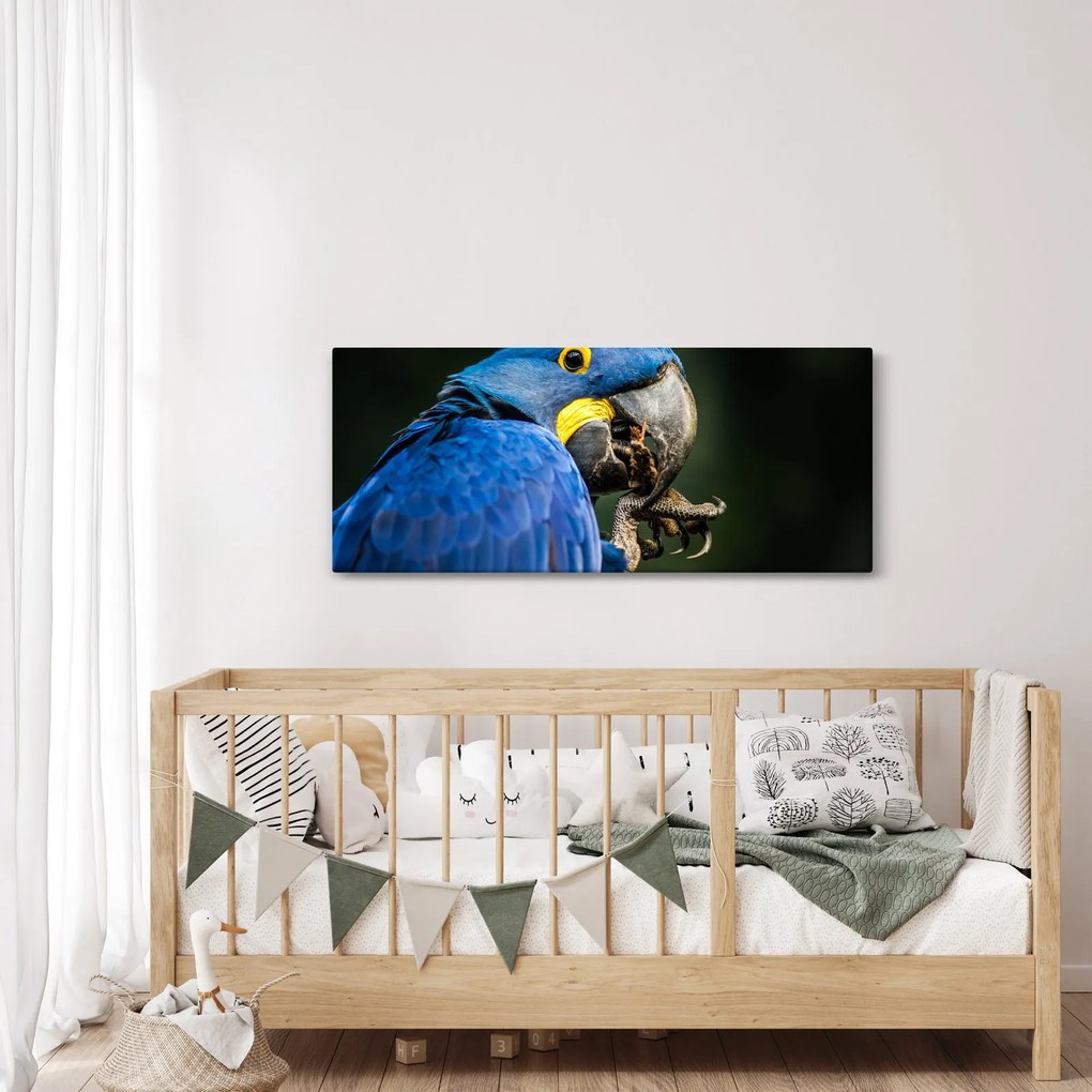 Papagáj képe (120x50 cm)