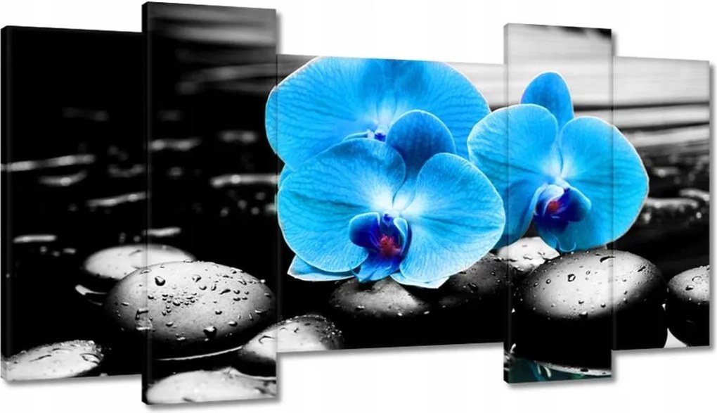 Vászonkép 120x65 Kék orchidea