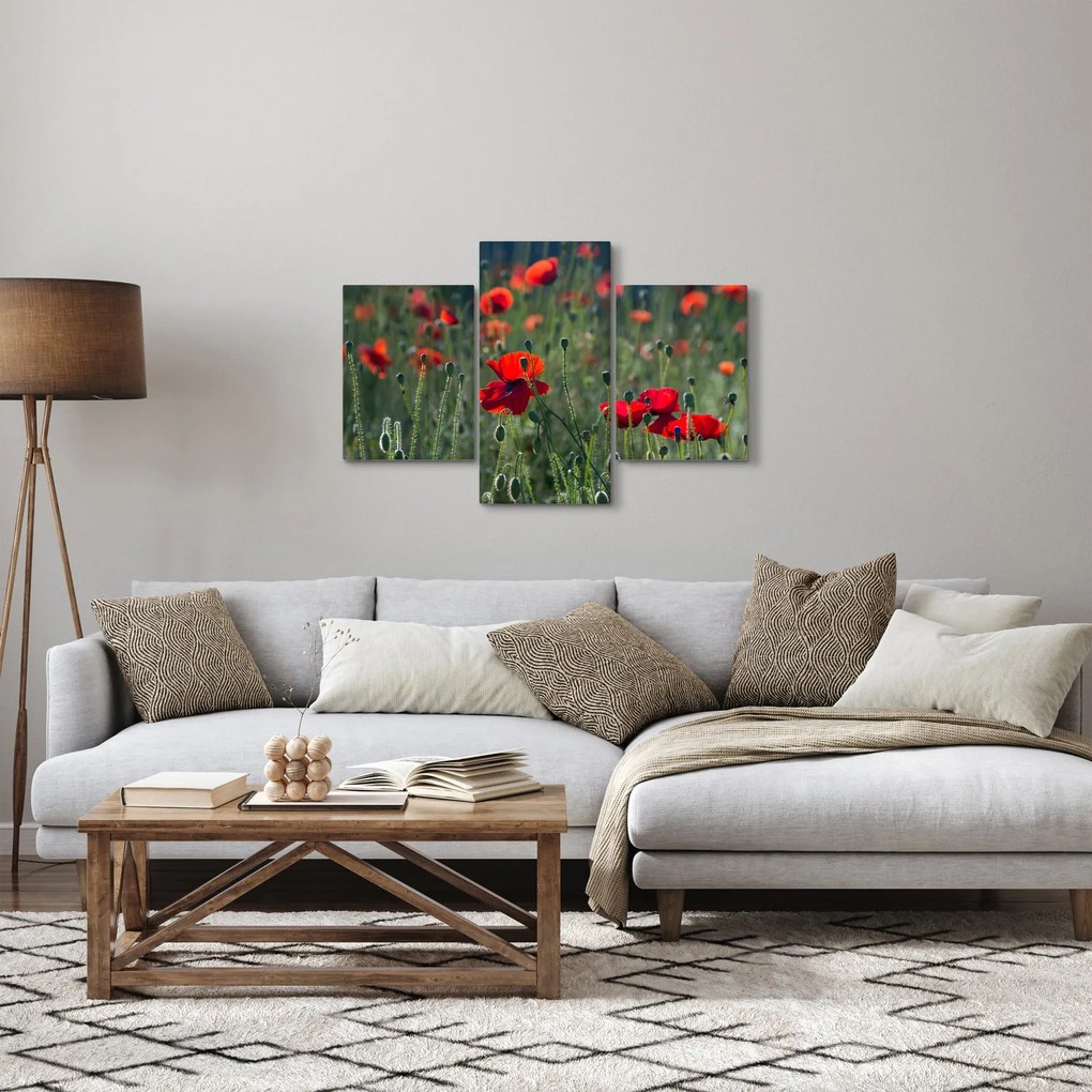 Kép - Rét mák virággal (90x60 cm)